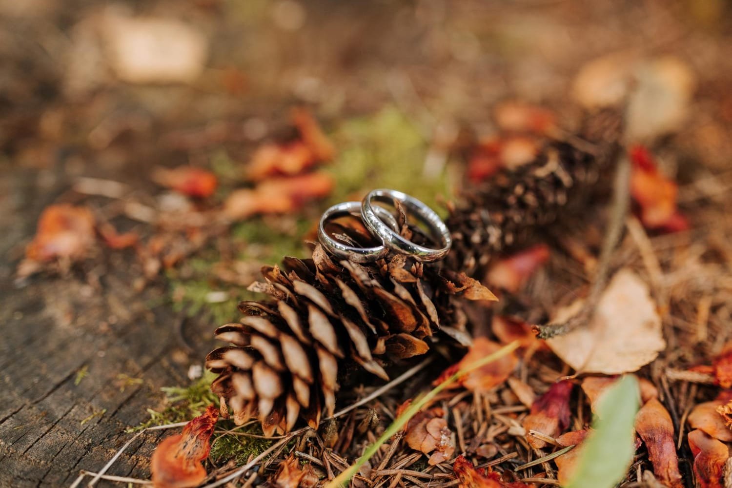 Early Fall Wedding Weather Swings 2026: Hidden Costs and Timing Problems to Price Early 7 Early Fall Wedding