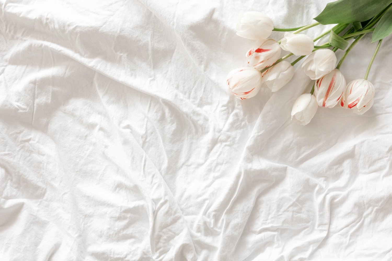 Wedding Linen Rental: Hidden Costs and Fees the Quote May Not Show 13 Wedding Linen Rental: Hidden Costs and Fees the Quote May Not Show
