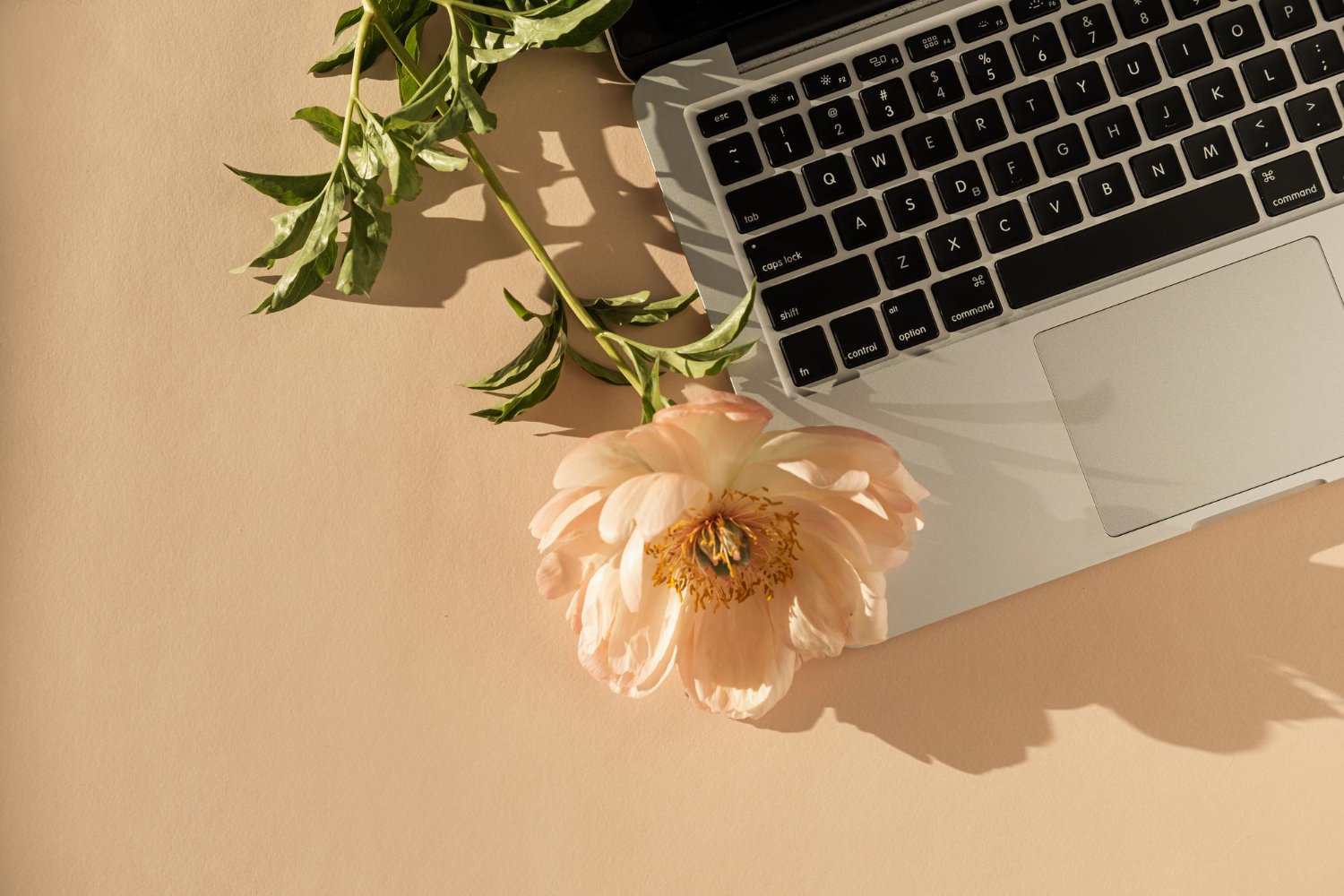 Second Photographer & Videographer Add-Ons: What They Actually Cost and Cover 14 Laptop computer with a peach peony flower on a sunlit desk, representing wedding photo editing and delivery