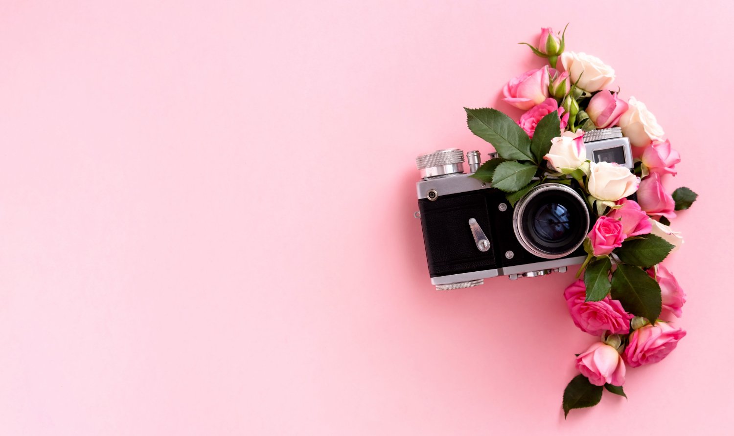 Second Photographer & Videographer Add-Ons: What They Actually Cost and Cover 15 Vintage camera wrapped in a wreath of pink roses on a solid pink background