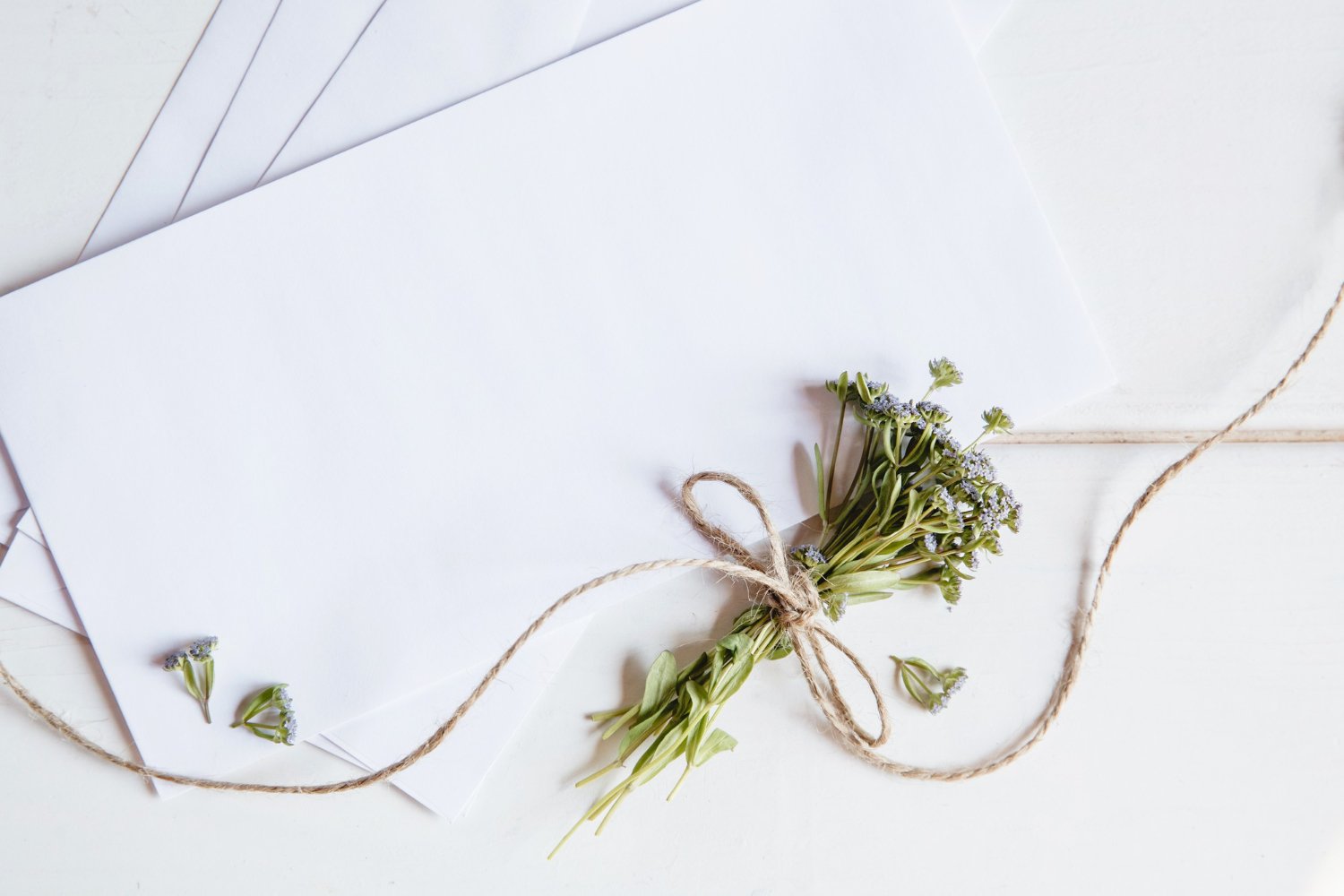 Wedding Website Privacy: What Nobody Mentions Until It's Live 15 Minimal white wedding envelopes with a small wildflower bouquet tied in twine